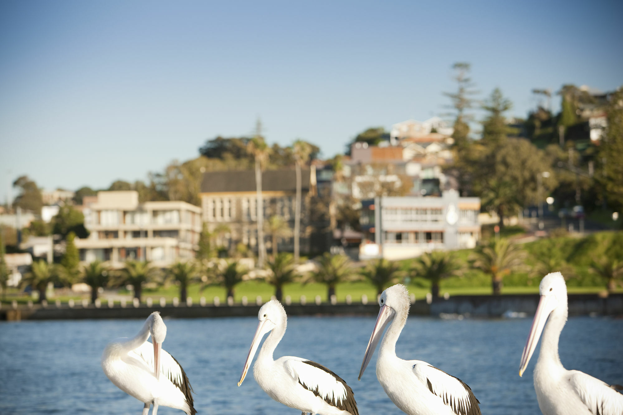 The Sebel Kiama Otel Dış mekan fotoğraf